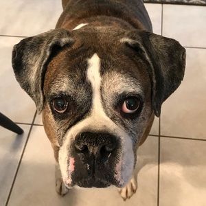 Meet your Posher, Kim